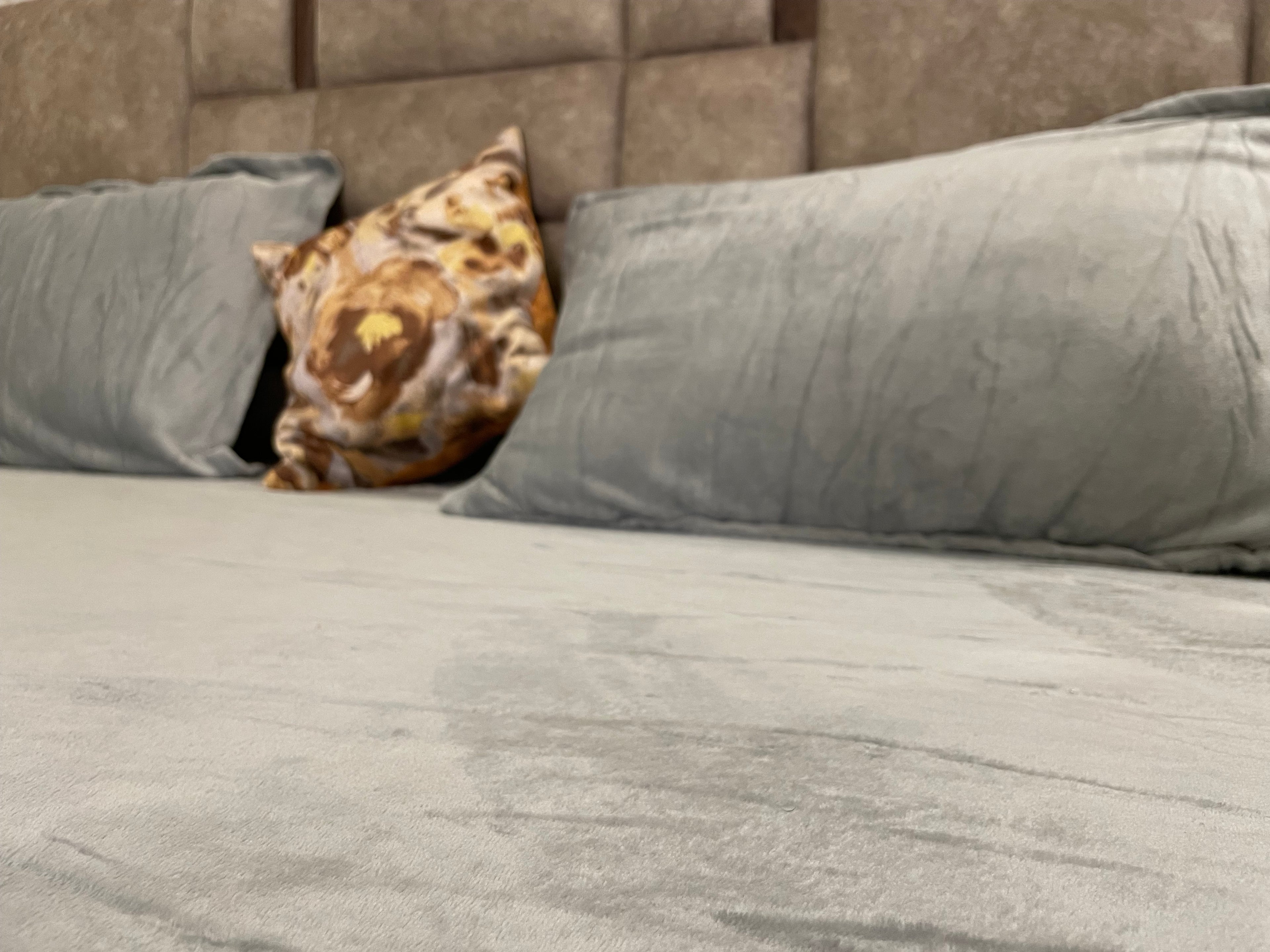 Luxury Solid Sea Green Elastic Fitted Bedsheet for King Size Bed | Soft & Wrinkle-Free Finish